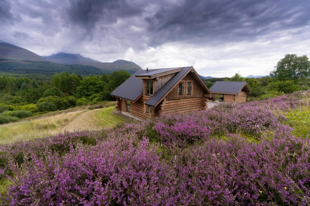 Wild Nurture Eco Luxury Offgrid Log Cabin فورت ويليام المظهر الخارجي الصورة