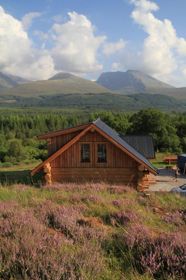 Wild Nurture Eco Luxury Offgrid Log Cabin فورت ويليام المظهر الخارجي الصورة