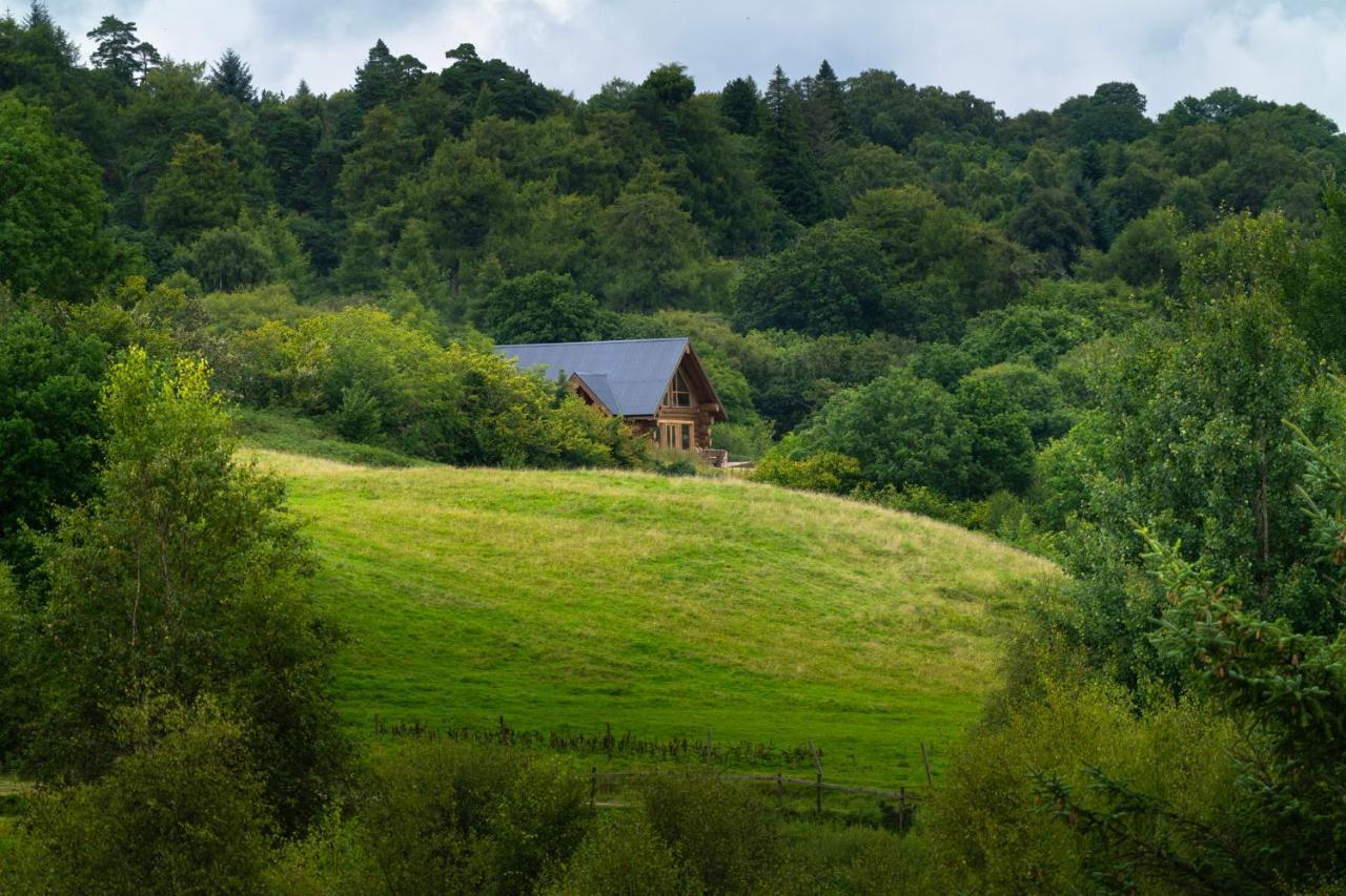 Wild Nurture Eco Luxury Offgrid Log Cabin فورت ويليام المظهر الخارجي الصورة