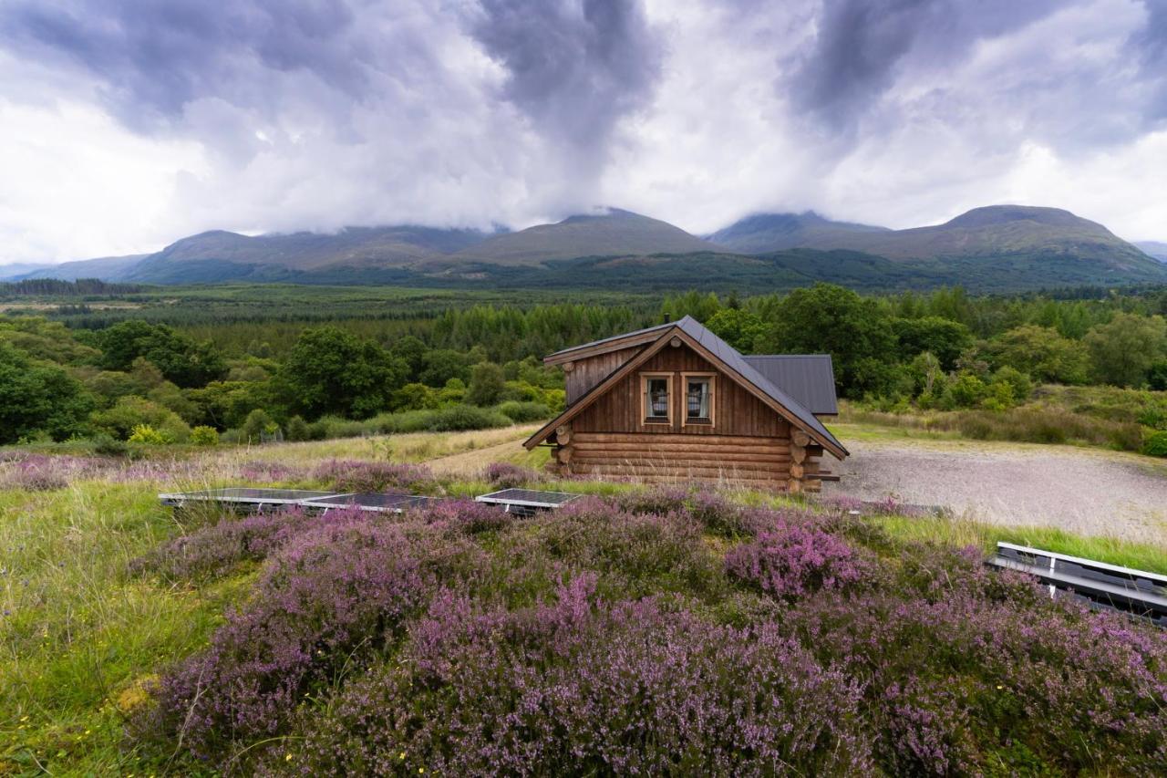 Wild Nurture Eco Luxury Offgrid Log Cabin فورت ويليام المظهر الخارجي الصورة