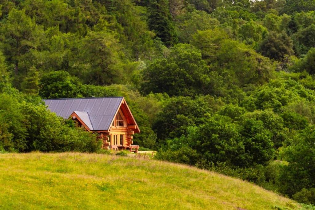 Wild Nurture Eco Luxury Offgrid Log Cabin فورت ويليام المظهر الخارجي الصورة