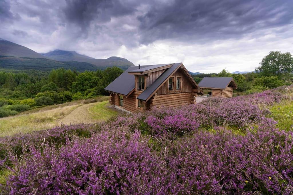 Wild Nurture Eco Luxury Offgrid Log Cabin فورت ويليام المظهر الخارجي الصورة