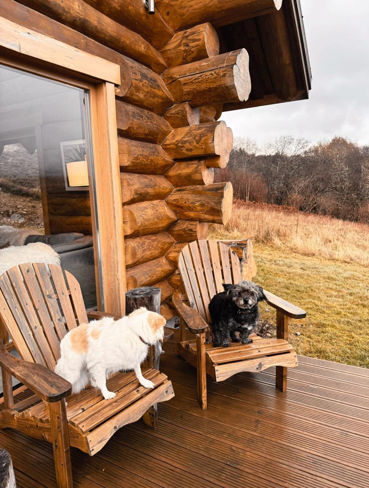 Wild Nurture Eco Luxury Offgrid Log Cabin فورت ويليام المظهر الخارجي الصورة
